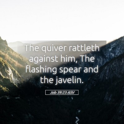 Picture 05 - Job 39:23 ASV - The quiver rattleth against him, The flashing - Bible Verse Picture