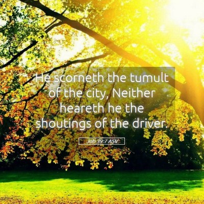 Picture 05 - Job 39:7 ASV - He scorneth the tumult of the city, Neither - Bible Verse Picture