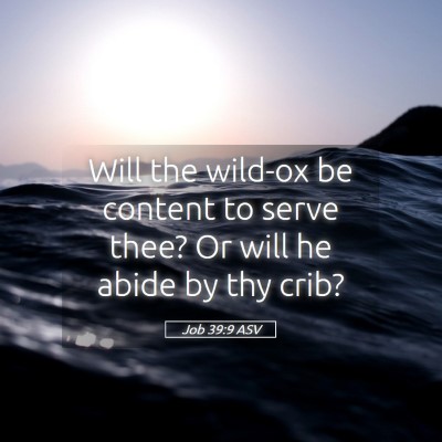 Picture 05 - Job 39:9 ASV - Will the wild-ox be content to serve thee? Or - Bible Verse Picture