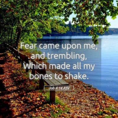 Picture 05 - Job 4:14 ASV - Fear came upon me, and trembling, Which made all - Bible Verse Picture