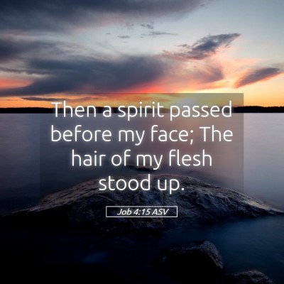 Picture 05 - Job 4:15 ASV - Then a spirit passed before my face; The hair of - Bible Verse Picture