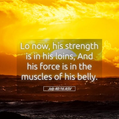 Picture 05 - Job 40:16 ASV - Lo now, his strength is in his loins, And his - Bible Verse Picture