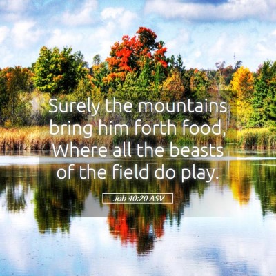 Picture 05 - Job 40:20 ASV - Surely the mountains bring him forth food, Where - Bible Verse Picture