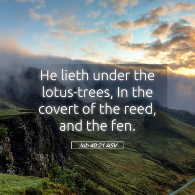 Picture 05 - Job 40:21 ASV - He lieth under the lotus-trees, In the covert of - Bible Verse Picture