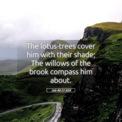 Picture 05 - Job 40:22 ASV - The lotus-trees cover him with their shade; The - Bible Verse Picture