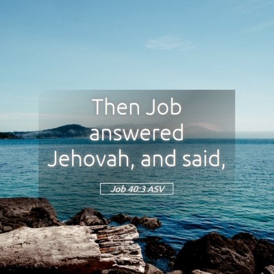 Picture 05 - Job 40:3 ASV - Then Job answered Jehovah, and - Bible Verse Picture