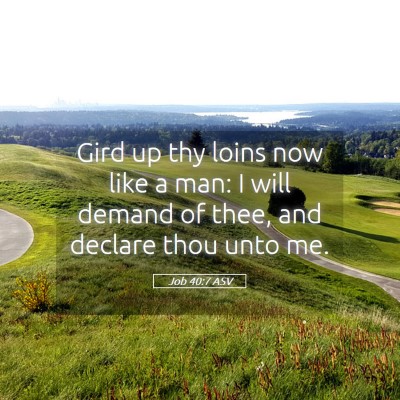Picture 05 - Job 40:7 ASV - Gird up thy loins now like a man: I will demand - Bible Verse Picture