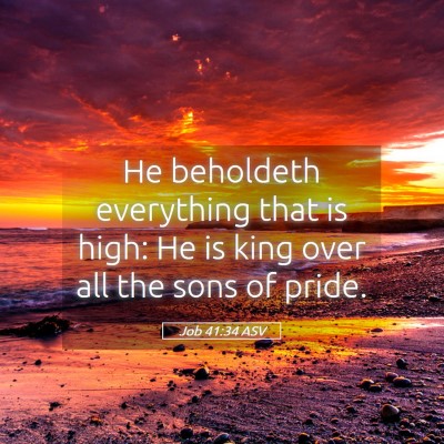 Picture 05 - Job 41:34 ASV - He beholdeth everything that is high: He is king - Bible Verse Picture