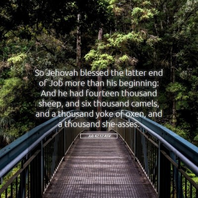 Picture 05 - Job 42:12 ASV - So Jehovah blessed the latter end of Job more - Bible Verse Picture