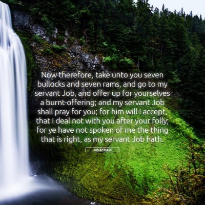 Picture 05 - Job 42:8 ASV - Now therefore, take unto you seven bullocks and - Bible Verse Picture