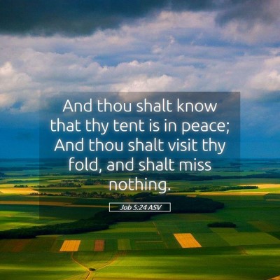 Picture 05 - Job 5:24 ASV - And thou shalt know that thy tent is in peace; - Bible Verse Picture