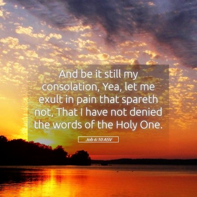 Picture 05 - Job 6:10 ASV - And be it still my consolation, Yea, let me exult - Bible Verse Picture
