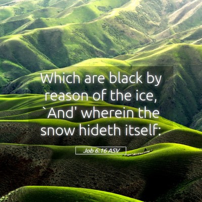 Picture 05 - Job 6:16 ASV - Which are black by reason of the ice, `And' - Bible Verse Picture