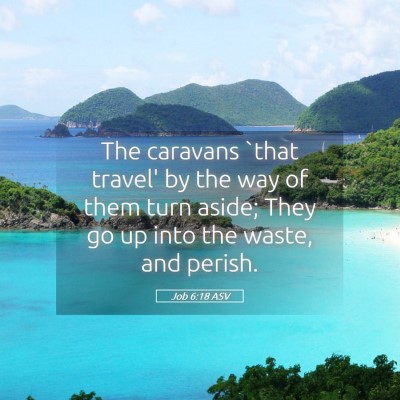 Picture 05 - Job 6:18 ASV - The caravans `that travel' by the way of them - Bible Verse Picture