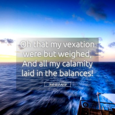 Picture 05 - Job 6:2 ASV - Oh that my vexation were but weighed, And all my - Bible Verse Picture
