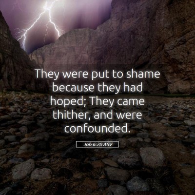 Picture 05 - Job 6:20 ASV - They were put to shame because they had hoped; - Bible Verse Picture