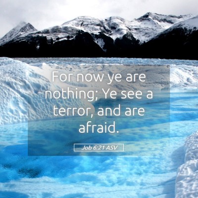 Picture 05 - Job 6:21 ASV - For now ye are nothing; Ye see a terror, and are - Bible Verse Picture