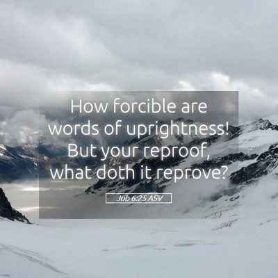 Picture 05 - Job 6:25 ASV - How forcible are words of uprightness! But your - Bible Verse Picture