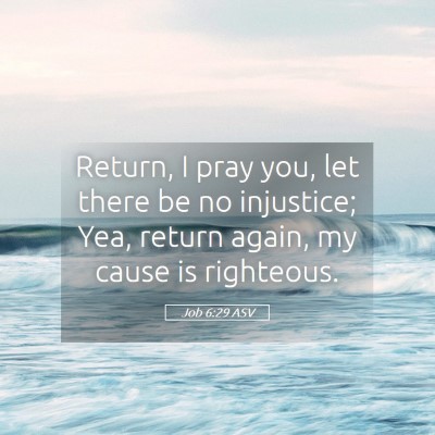 Picture 05 - Job 6:29 ASV - Return, I pray you, let there be no injustice; - Bible Verse Picture