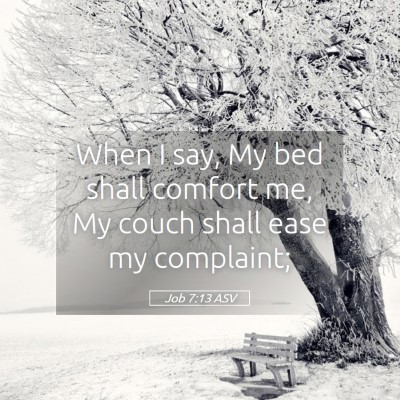 Picture 05 - Job 7:13 ASV - When I say, My bed shall comfort me, My couch - Bible Verse Picture