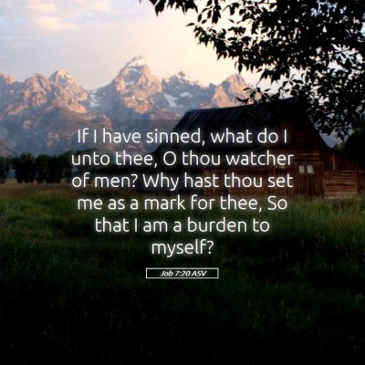 Picture 05 - Job 7:20 ASV - If I have sinned, what do I unto thee, O thou - Bible Verse Picture