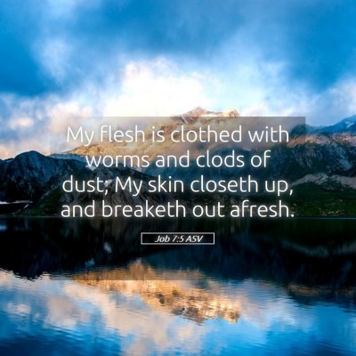 Picture 05 - Job 7:5 ASV - My flesh is clothed with worms and clods of dust; - Bible Verse Picture
