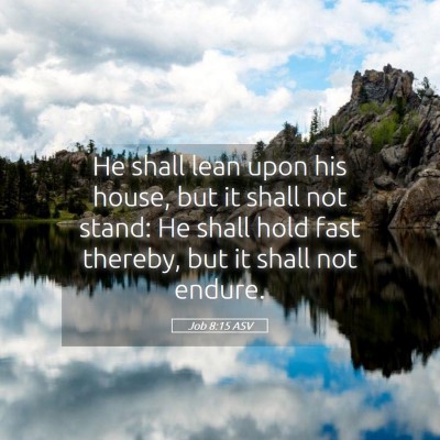 Picture 05 - Job 8:15 ASV - He shall lean upon his house, but it shall not - Bible Verse Picture