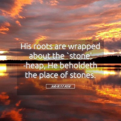 Picture 05 - Job 8:17 ASV - His roots are wrapped about the `stone' -heap, He - Bible Verse Picture