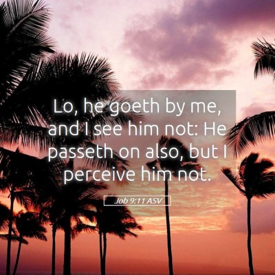 Picture 05 - Job 9:11 ASV - Lo, he goeth by me, and I see him not: He passeth - Bible Verse Picture