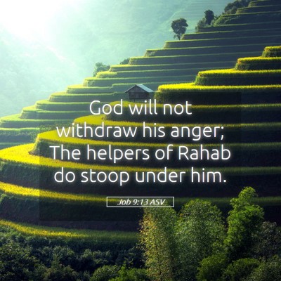 Picture 05 - Job 9:13 ASV - God will not withdraw his anger; The helpers of - Bible Verse Picture
