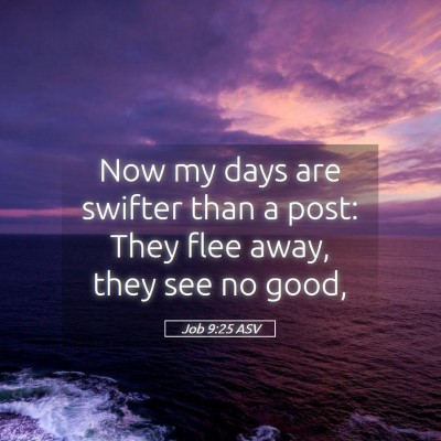 Picture 05 - Job 9:25 ASV - Now my days are swifter than a post: They flee - Bible Verse Picture