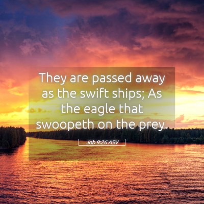 Picture 05 - Job 9:26 ASV - They are passed away as the swift ships; As the - Bible Verse Picture