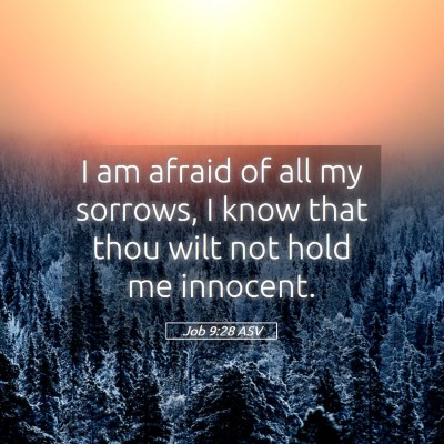 Picture 05 - Job 9:28 ASV - I am afraid of all my sorrows, I know that thou - Bible Verse Picture