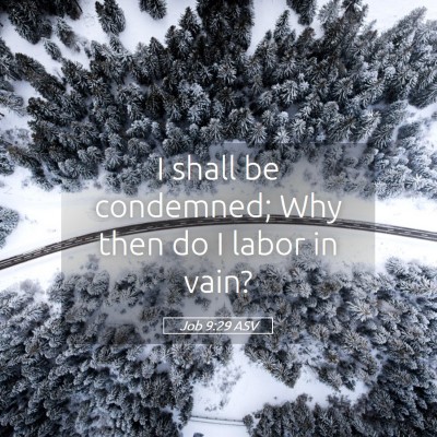 Picture 05 - Job 9:29 ASV - I shall be condemned; Why then do I labor in - Bible Verse Picture