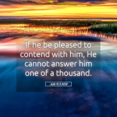 Picture 05 - Job 9:3 ASV - If he be pleased to contend with him, He cannot - Bible Verse Picture