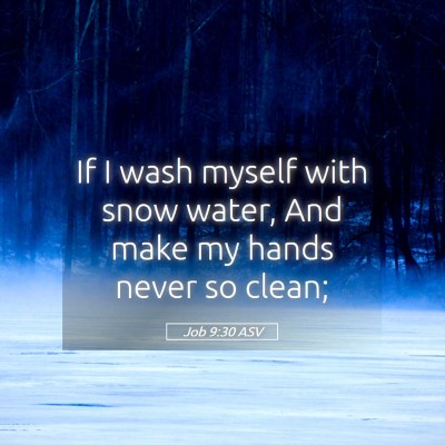 Picture 05 - Job 9:30 ASV - If I wash myself with snow water, And make my - Bible Verse Picture