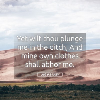 Picture 05 - Job 9:31 ASV - Yet wilt thou plunge me in the ditch, And mine - Bible Verse Picture