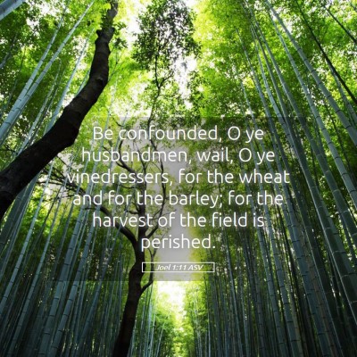 Picture 05 - Joel 1:11 ASV - Be confounded, O ye husbandmen, wail, O ye - Bible Verse Picture