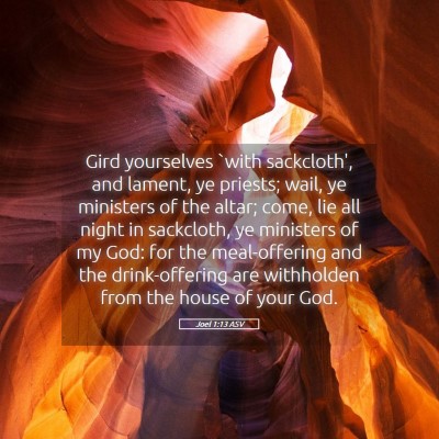 Picture 05 - Joel 1:13 ASV - Gird yourselves `with sackcloth', and lament, ye - Bible Verse Picture