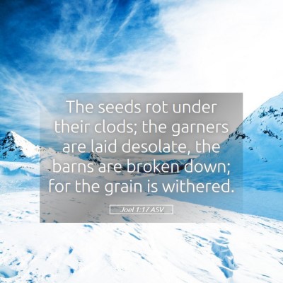 Picture 05 - Joel 1:17 ASV - The seeds rot under their clods; the garners are - Bible Verse Picture