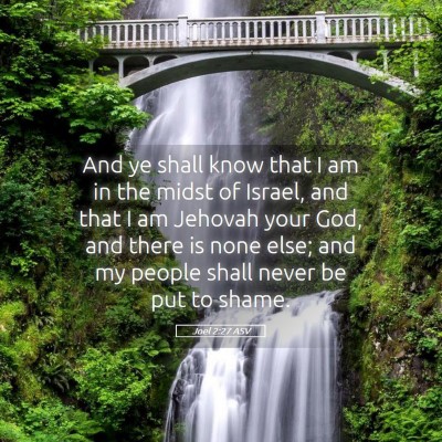 Picture 05 - Joel 2:27 ASV - And ye shall know that I am in the midst of - Bible Verse Picture