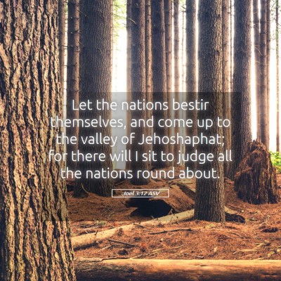 Picture 05 - Joel 3:12 ASV - Let the nations bestir themselves, and come up to - Bible Verse Picture