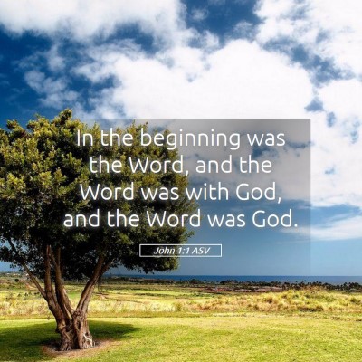Picture 05 - John 1:1 ASV - In the beginning was the Word, and the Word was - Bible Verse Picture