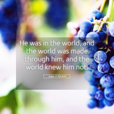 Picture 05 - John 1:10 ASV - He was in the world, and the world was made - Bible Verse Picture