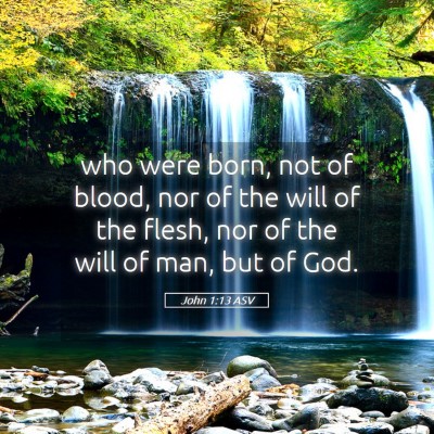 Picture 05 - John 1:13 ASV - who were born, not of blood, nor of the will of - Bible Verse Picture