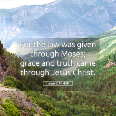 Picture 05 - John 1:17 ASV - For the law was given through Moses; grace and - Bible Verse Picture