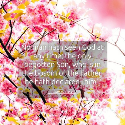 Picture 05 - John 1:18 ASV - No man hath seen God at any time; the only - Bible Verse Picture