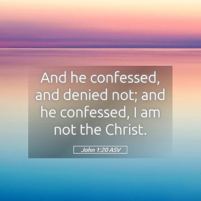 Picture 05 - John 1:20 ASV - And he confessed, and denied not; and he - Bible Verse Picture