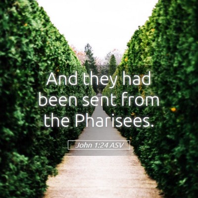 Picture 05 - John 1:24 ASV - And they had been sent from the - Bible Verse Picture