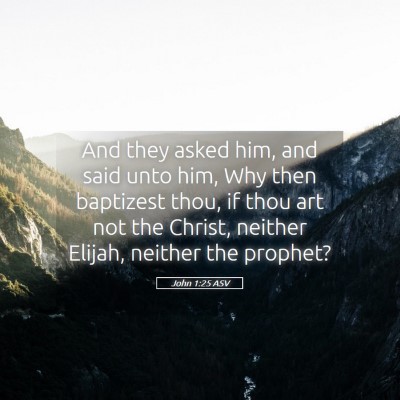 Picture 05 - John 1:25 ASV - And they asked him, and said unto him, Why then - Bible Verse Picture